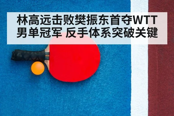 table tennis racket